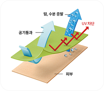 자외선 차단&항균